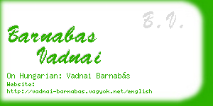 barnabas vadnai business card